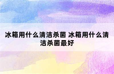 冰箱用什么清洁杀菌 冰箱用什么清洁杀菌最好